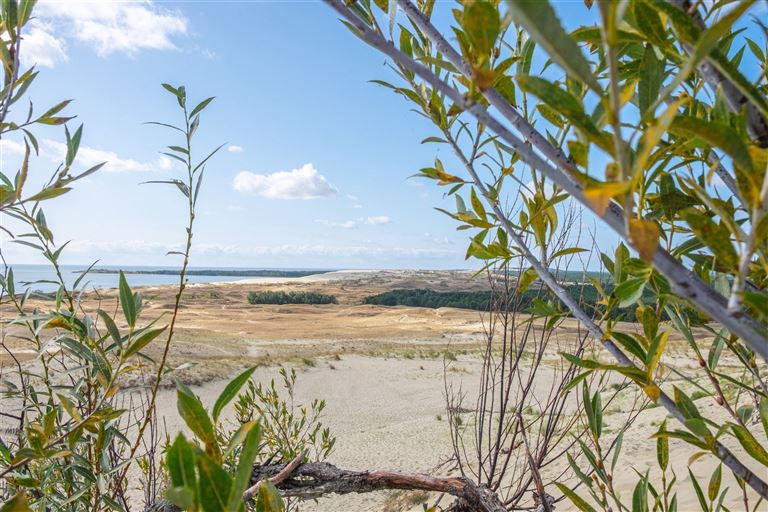 Baltikum-mit Rückenwind entlang der Bernsteinküste © progarten/adobestock